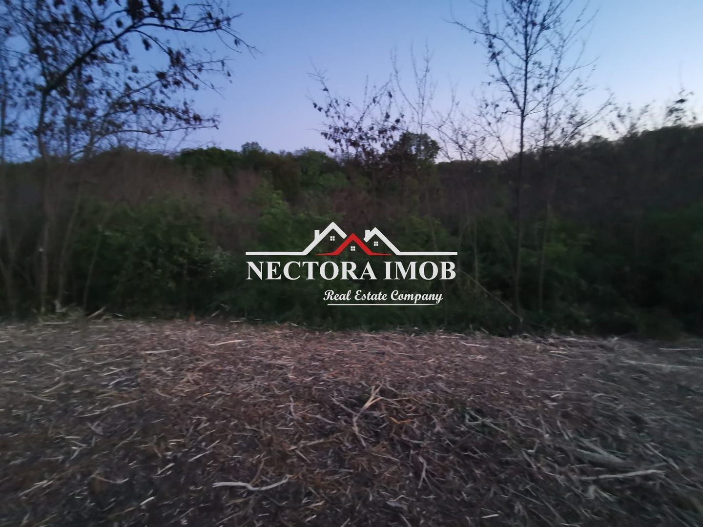 NECTORA IMOB-Loturi de teren 500 mp,Zona Saldabagiu de Munte-Lac Paleu - Poză 6