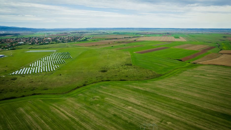 Teren 48.900 mp în Frumușeni - Poză 3