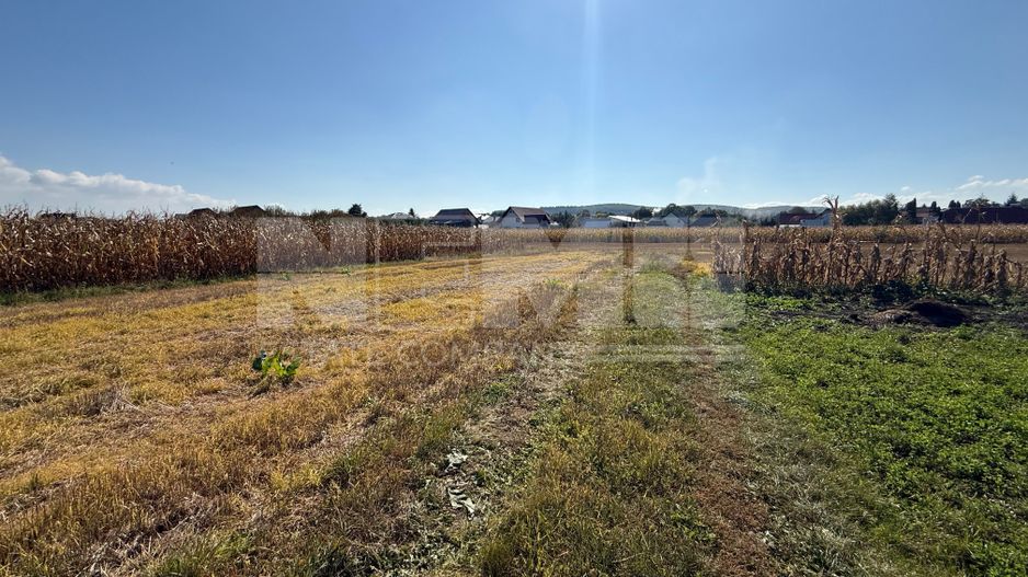 Teren intravilan | Volovat | 2200 mp - Poză 1