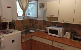 Garsonieră în vilă, terasă 10 mp, curte proprie, mobilată complet, Baba Novac - Poză 1