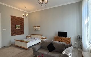 Apartament cu o camera în clădire istorică ,zona Maria - Poză 14