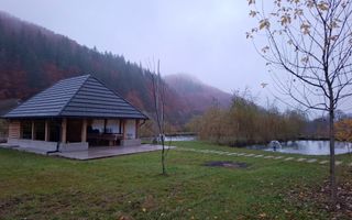 Proprietate cu potențial turistic în zona montană a Țării Lăpușului - Poză 3