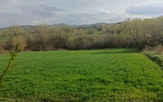 Teren intravilan Ilișești/Suceava - Poză 4