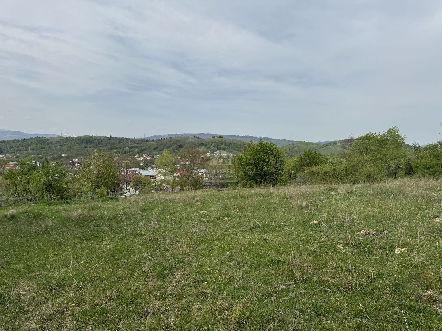 TEREN INTRAVILAN, 7472 MP, VALEA MARE PRAVAT, ARGES - Poză 16