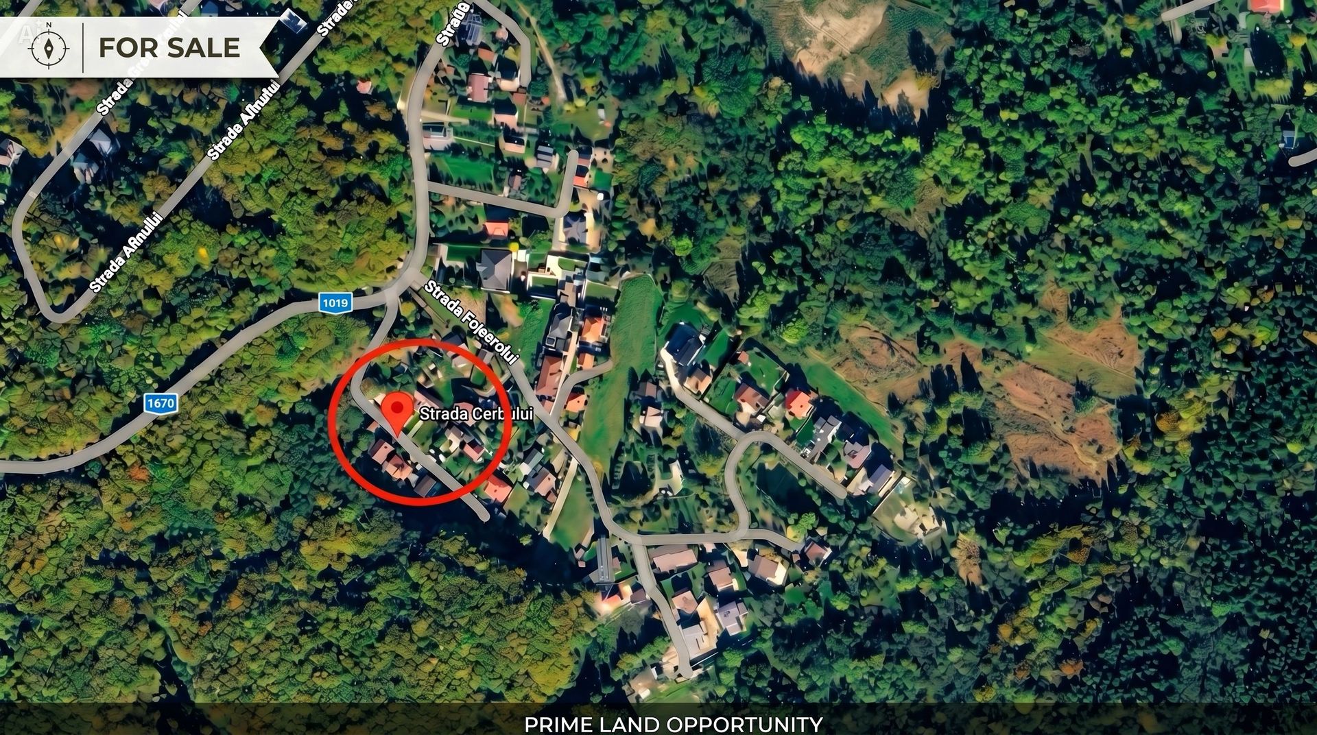 Teren intravilan pentru constructie casa individuala, Faget - Poză 3