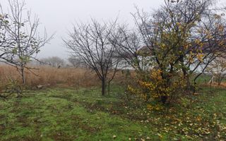 Teren intravilan 12.511 mp | Potoceni – Mărăcineni | Ideal pentru dezvoltare rez - Poză 6