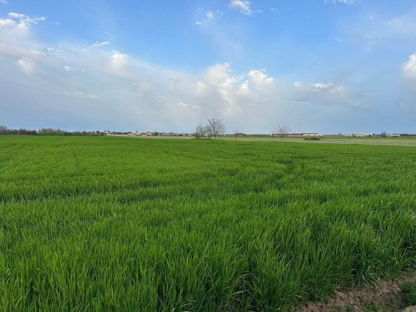 Teren intravilan cu destinatie rezidentiala 7.458 mp Balotesti - Poză 7