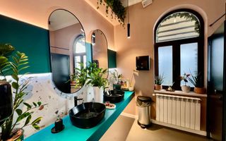 Afacere la cheie – Bistro & Airbnb | Vilă consolidată Parcul Carol & Tineretului - Poză 6