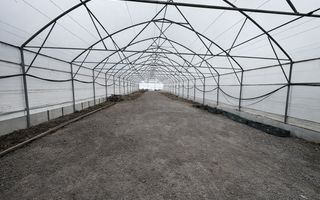 Investiție agricolă, Anenii Noi - Poză 17