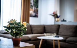 Apartament 3 camere Strada Safirului Bragadiru Loc de Parcare - Poză 2