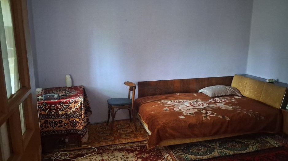 Casă tradițională cu teren generos – Borosteni, Peștișani, jud. Gorj - Poză 7