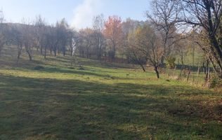 TEREN INTRAVILAN 3000 MP, CAMPULUNG