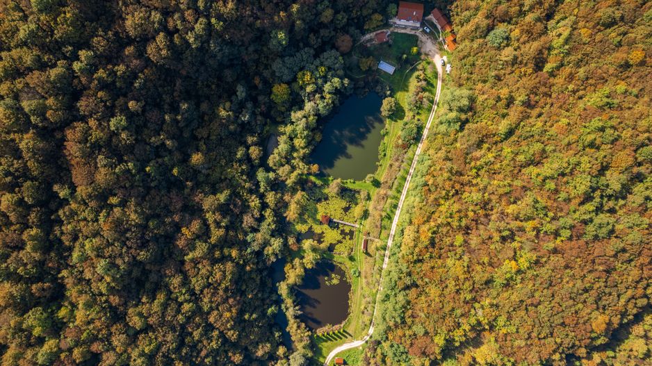 Domeniu în satul Căprioara - Poză 21