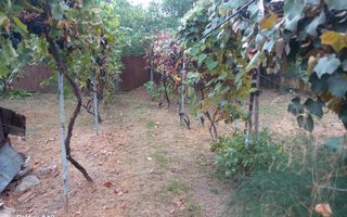 BRASADAS vinde casa 3 cam. zona Unirii teren 550mp. - Poză 6