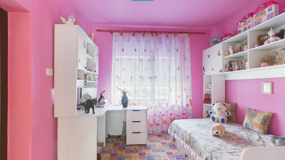 Casă cu 3 camere din văiugă în Macea - Poză 4