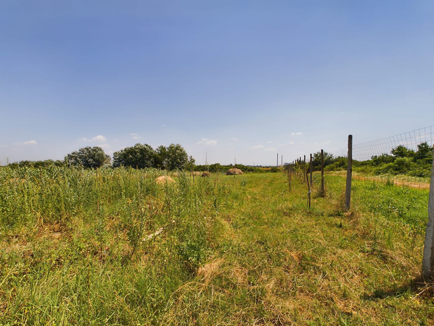 TEREN EXTRAVILAN  CU SOLAR IN GAI - Poză 17