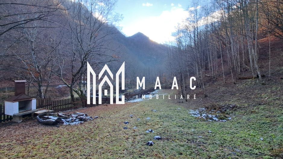 Paradis pe Transalpina in Sugag - Poză 20