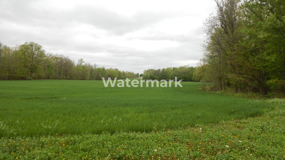 Teren in zona buna de vanzare - Poză 1