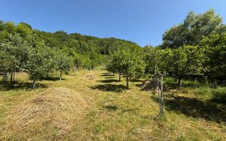 Vanzare casa cu 4 camere+anexe într-o zonă de poveste – Bezdead - Poză 16