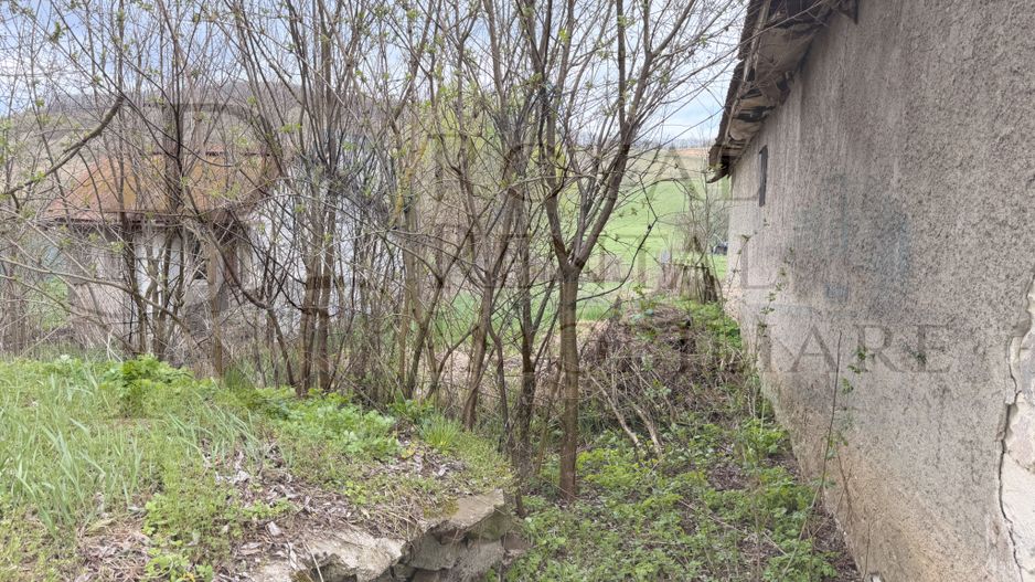 Comision 0! | Casă + teren generos | 2600 m² | Oportunitate unică - Faureni - Poză 32