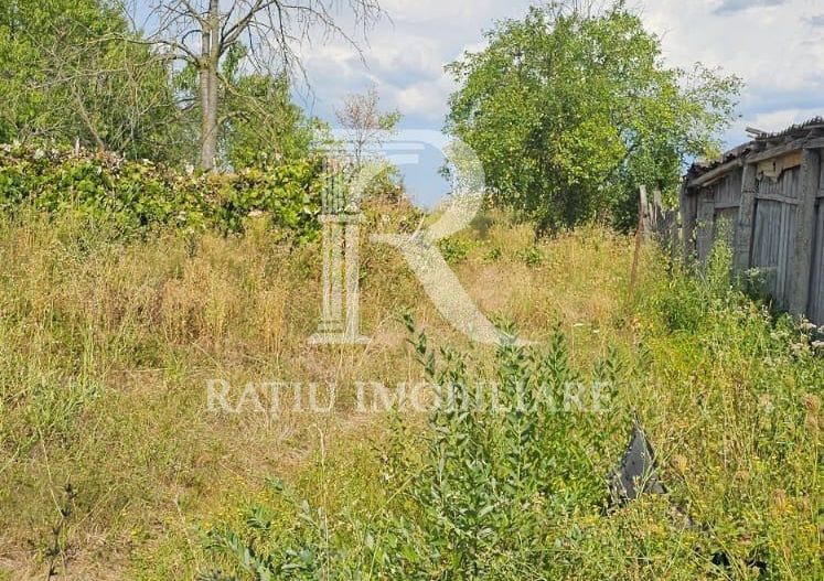 De vanzare | Casa veche in Cosdeni | Bihor | 23000  € - Poză 7