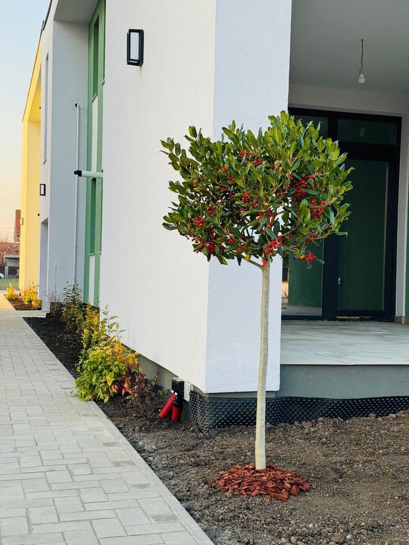 Apartament 3 camere la parter cu gradina proprie - Poză 14