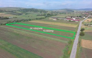 Teren 10.670 mp | Borșa Cluj | Front 38m | Utilități - Poză 3