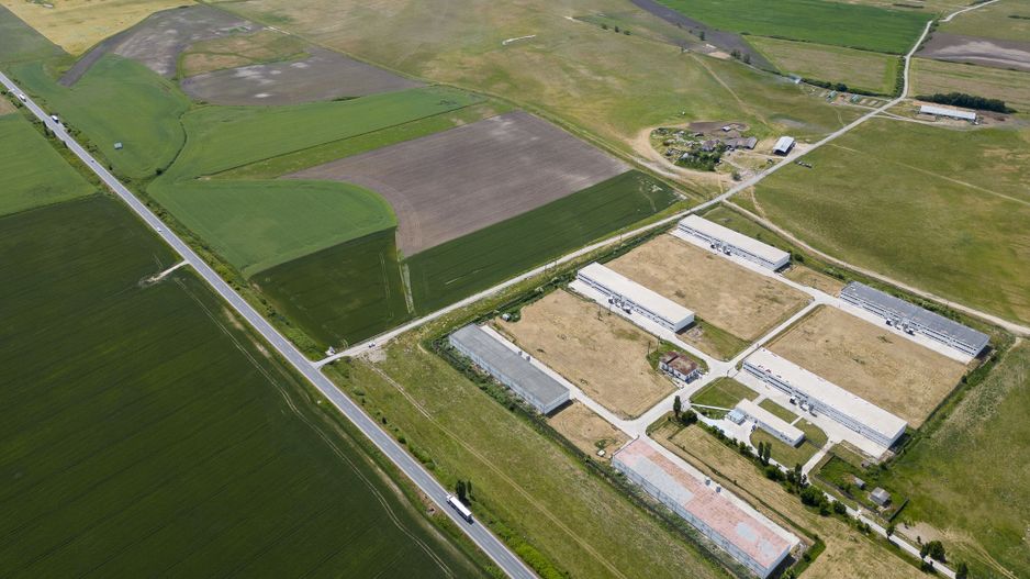 Teren Intravilan Investiții 11.600 mp Salonta - Poză 9