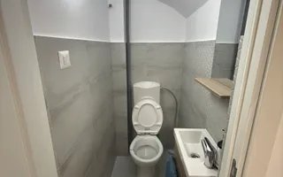 Apartament cochet vila edificata in perioada interbelica - Poză 13