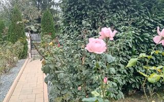 Casa  P+1 - Sat Costi - Poză 7