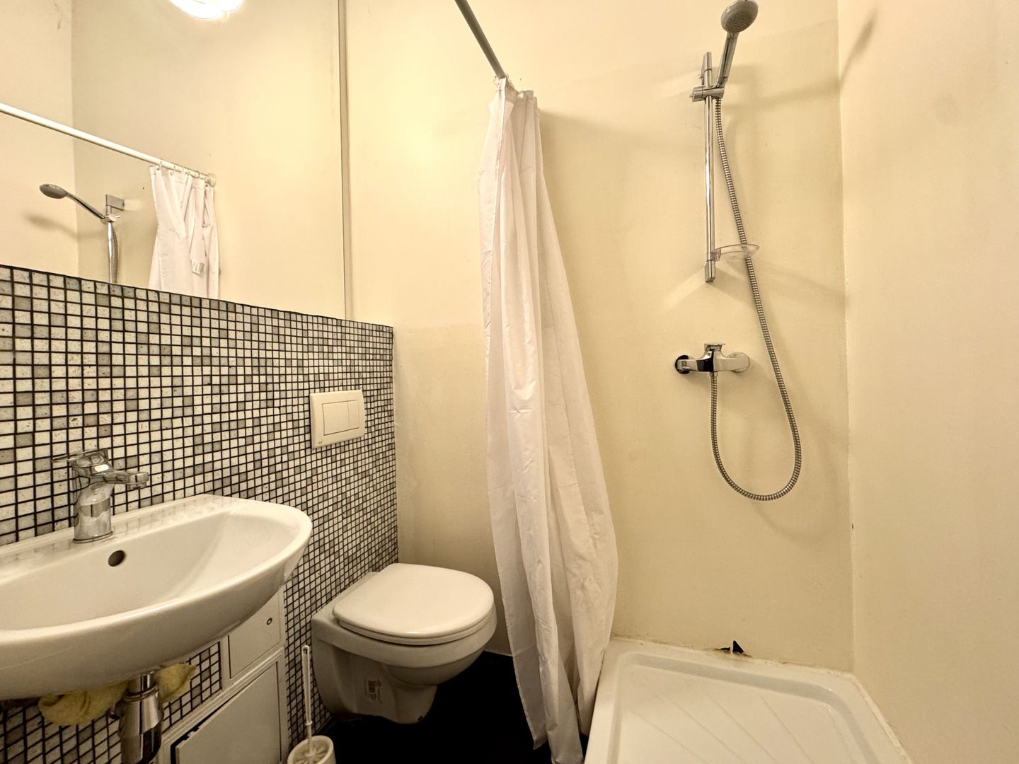 Apartament 1 camera, boem, chiar in centrul Timișoarei - Poză 10