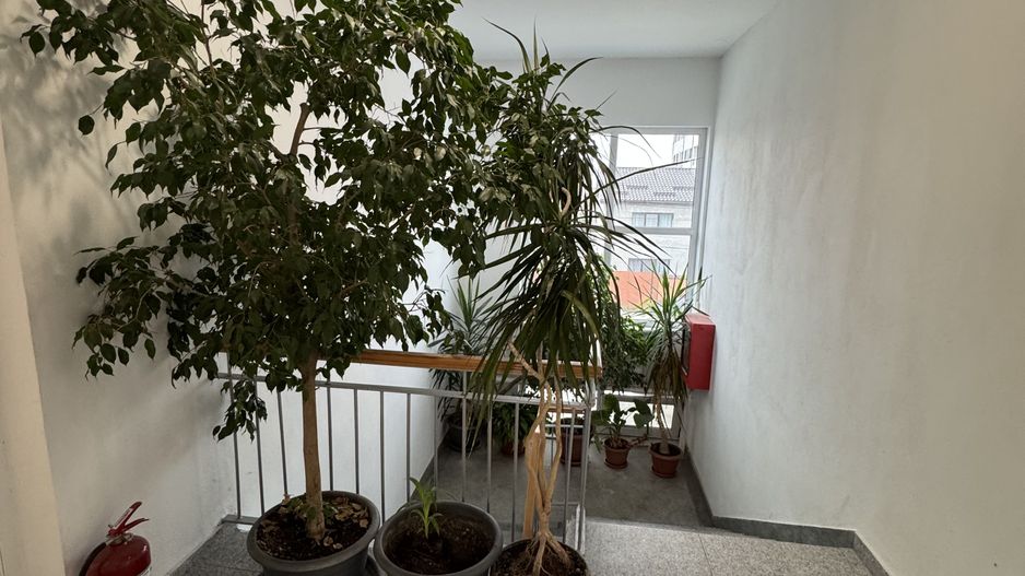 Spatii birouri de inchiriat renovate moderne L329 - Poză 8