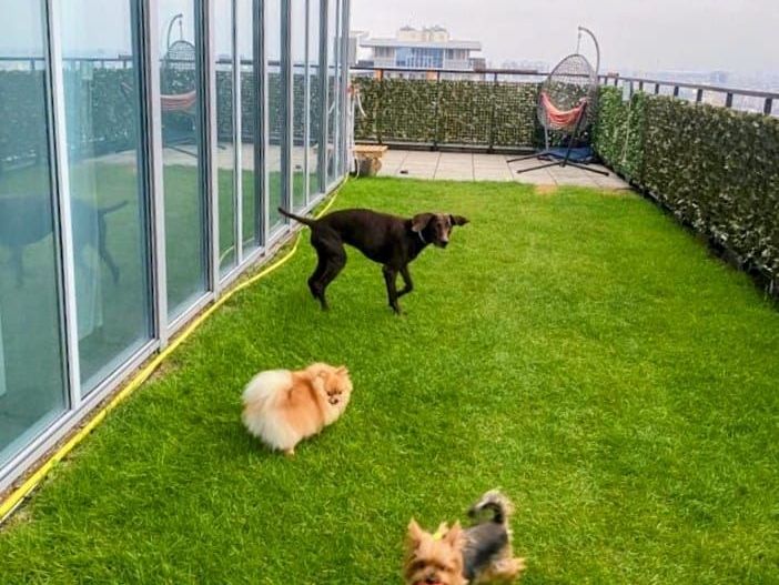 Penthouse Asmita Gardens | terasa 99 mp | Splaiul Unirii - Poză 48
