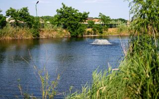 Sala de evenimente cu  piscina si foisor Biled COMISION 0 % CUMPARATOR - Poză 26