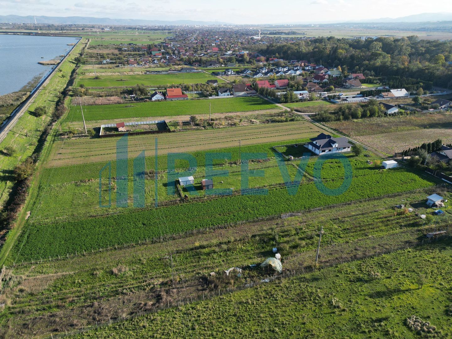 Teren 3.600 mp Lilieci - Poză 3