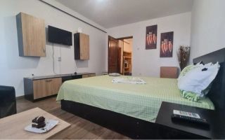 De inchiriat apartament 1 camera, etaj 7/7,  Tiglina, 300 euro - Poză 1