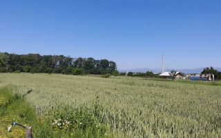 Teren 10.294 mp de vânzare Târgu Jiu | Intravilan + Extravilan | Utilități - Poză 2