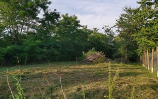 Teren zona montana in com.Turcinesti Jud.Gorj - Poză 3