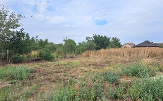 Teren pentru constructii casa cu fundatie turnata I Sag - Poză 2