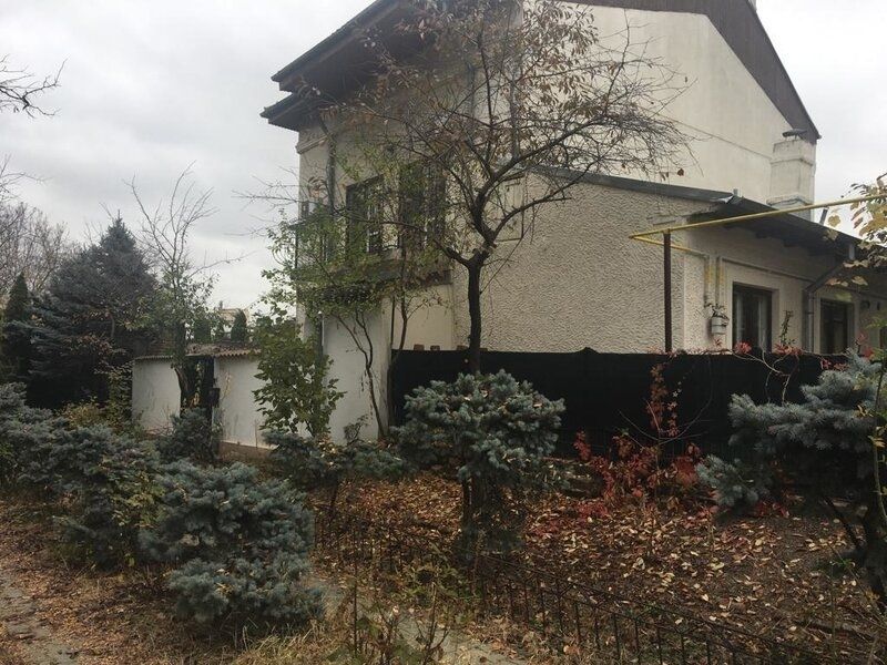 Cotroceni Vila, Palatul Cotroceni - Poză 1