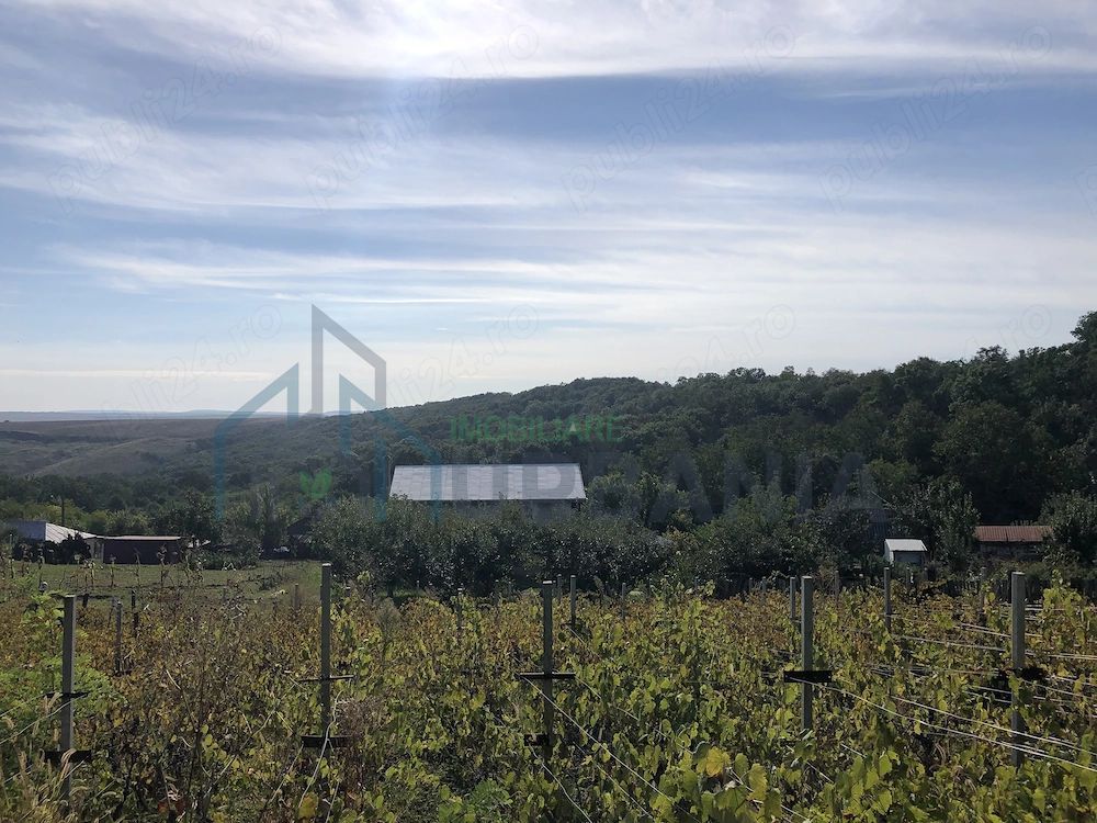 Casă de vânzare în Iepureni, Movileni, Iași - 160 mp, teren 900 mp - Poză 3