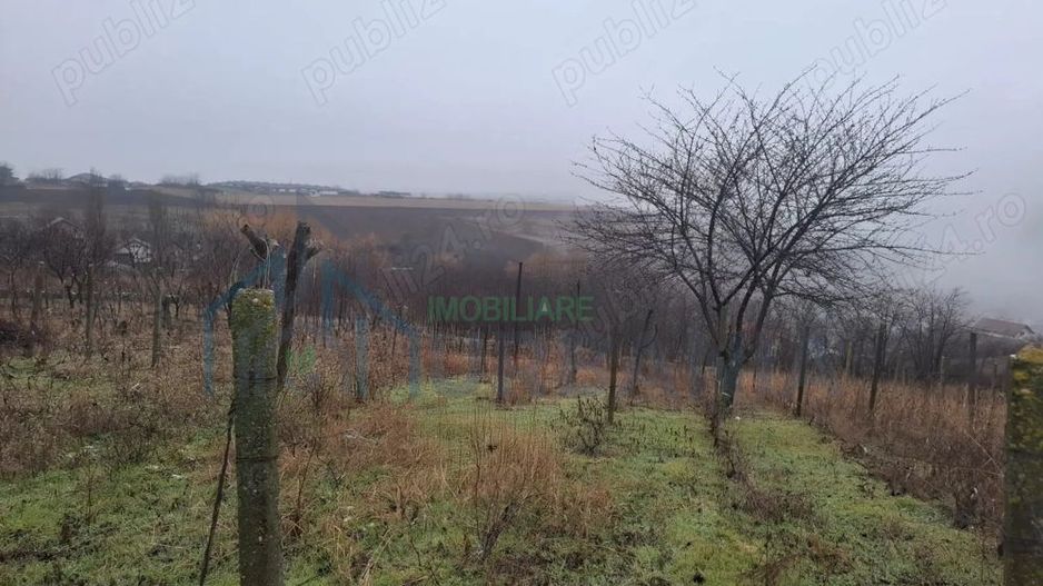 Teren Intravilan 2406 mp în Miroslava (Vorovești), Strada Pădurii - Poză 3