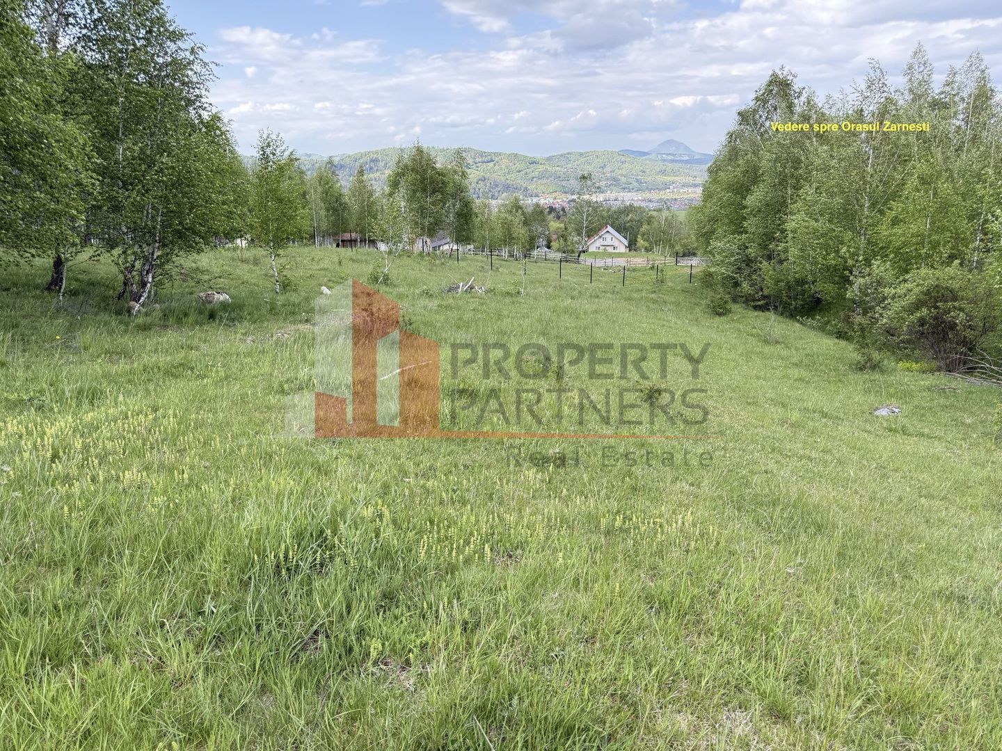 Teren intravilan 5.261 mp Tohănița | Deschidere 49 m | Utilități, lângă pădure - Poză 7