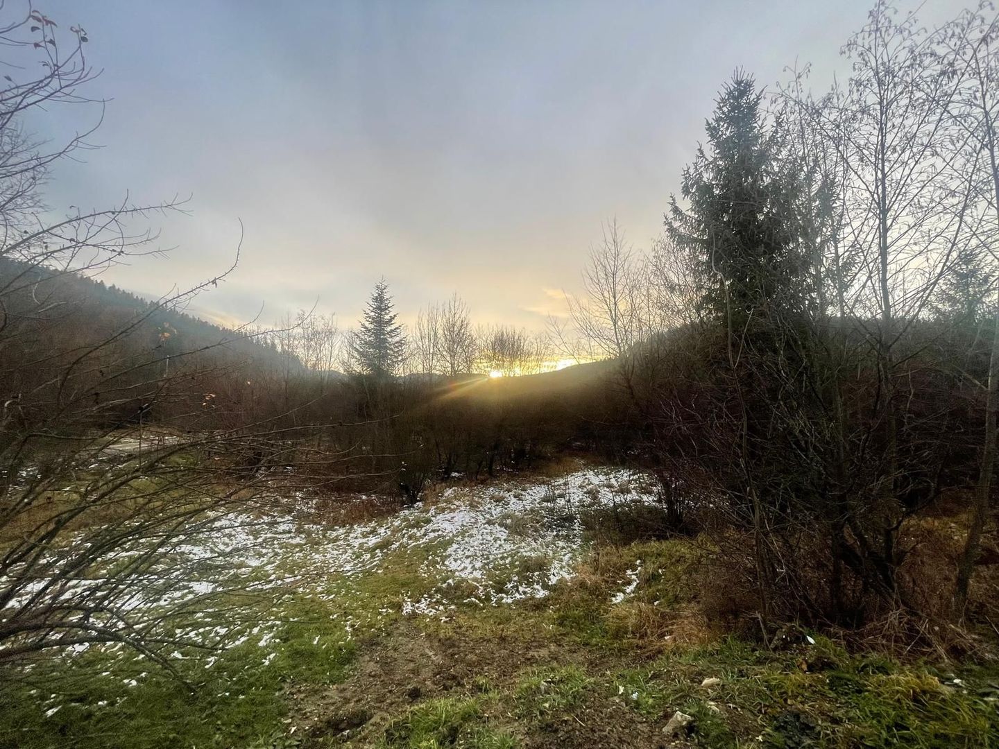 TEREN INTRAVILAN 2,26 HA | SUCEVITA | - Poză 3