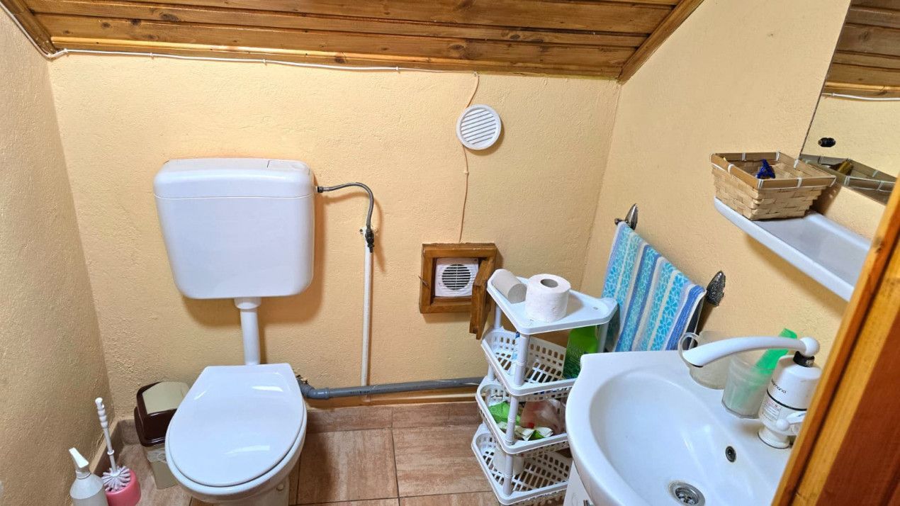 casa 3 camere Viile Satu Mare - Poză 11
