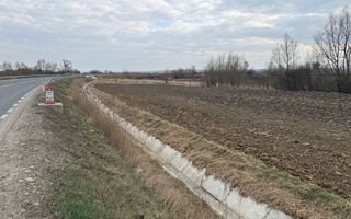 Teren extravilan | Rădăuți | 36 ARI - Poză 6