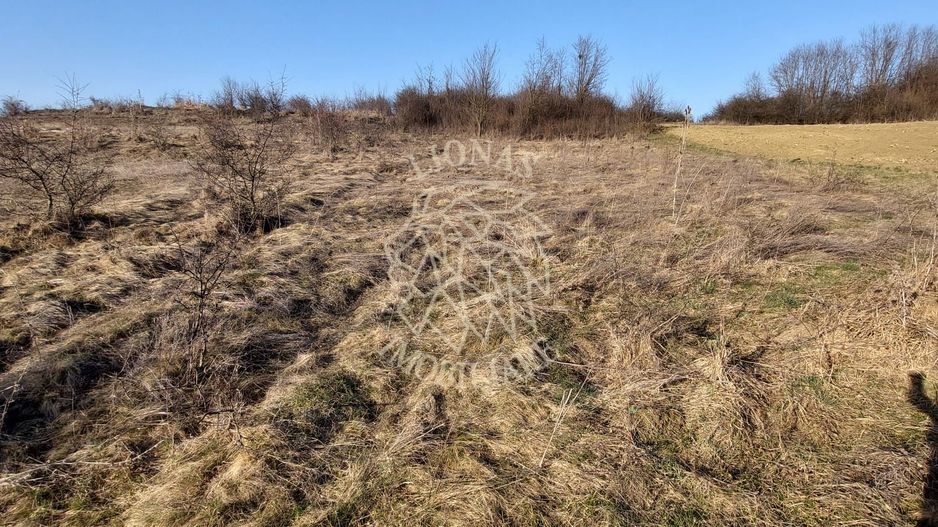 Teren 2100 mp in Zona Valea Stanelor - Poză 3