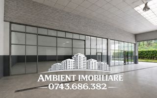 Spatiu comercial - HALA producție/depozitare, VASLUI zona MOVAS; - Poză 7