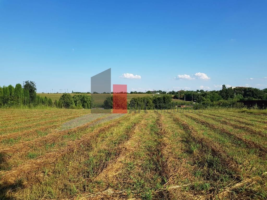 Teren Adunații Copăceni - Poză 9