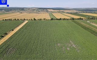 Teren - Orășeni Deal, Curtești | BOTOȘANI | 10.000mp - Poză 6